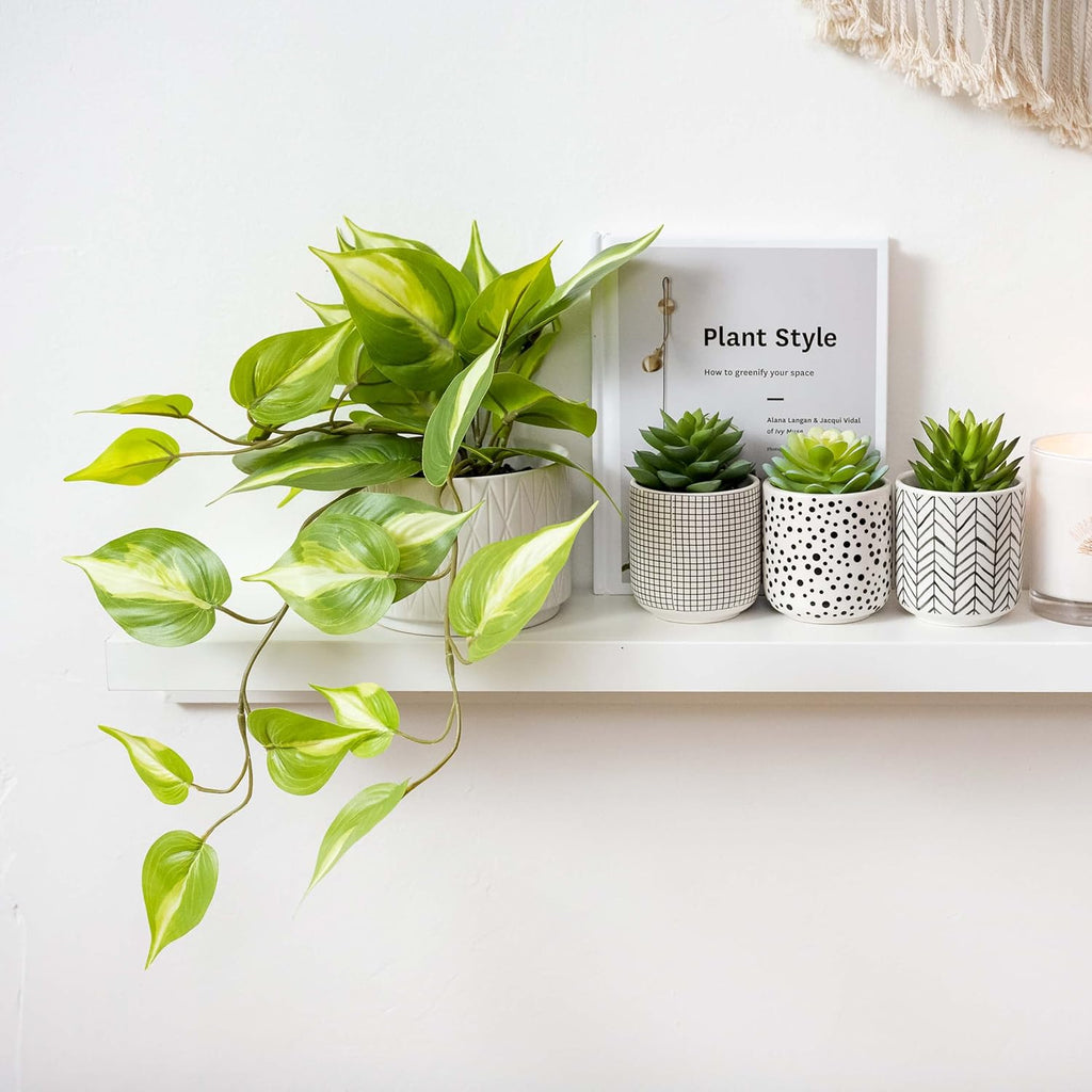 kurrajong farmhouse light green fake pothos plant |, close-up detail
