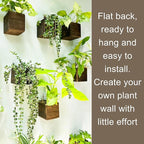 LaLaGreen Wood Planter Boxes for Indoor Plants (4x4 Inch, 6 Pack) Small Square Wall Mounted Planters Flower Pot, Herb Wooden Box Hanging Plant Holder Outdoor Balcony Vertical Garden Modern Home Decor