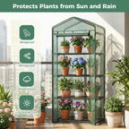 olixis 27"x19"x63" mini greenhouse, with durable zipper door shown in use