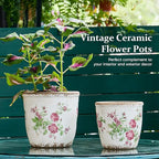 Vintage Ceramic Planter with Drainage Hole, Plastic Tray & Mesh, 6.5 Inch - Indoor/Outdoor Flower Pot, Pink Floral Rustic Farmhouse Design Plant pot for Home, Office & Garden Décor, Ideal Gift