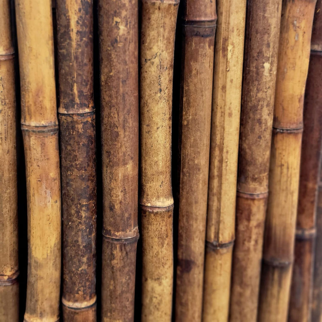 forever bamboo caramel brown bamboo fencing decorative rolled showing dimensions
