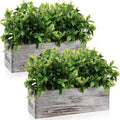 lyrow 2 pack 11.4 '' artificial eucalyptus plants, main product view