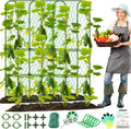 cucumber trellis for raised bed, tall metal garden, main product view