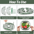 6 Sets Strawberry Plant Support with Mesh Plant Cover,Strawberry Growing Racks Sets with Iron Plant Nails and Storage Bag for Garden Strawberry Vegetables(White Net - Round)
