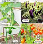 Plant Stakes 17 inch SupKing Support Stick Orchid Stakes with Clips 10Pcs Garden Plant Poles Extended to 3/4/5ft for Indoor Outdoor Potted Tomato Rose Amaryllis Vegetables Monstera Comes with 20 Ties
