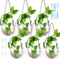 wall hanging planter glass plant pot water terrarium, main product view