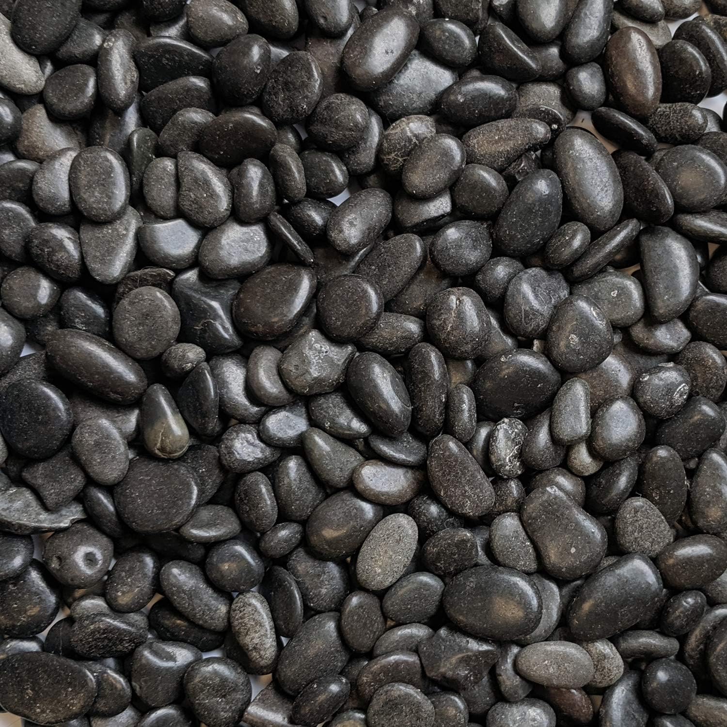 Midwest Hearth Decorative Black Pebbles for Plants & Vase Filler | Polished Natural Stones | 3/8" Size (5-lb Bag)