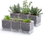D'vine Dev Herb Garden Planter Set, Plastic Plant Pots with Drainage and Saucer, Indoor Succulent Cactus Vegetable Pot for Windowsill, Garden Balcony, Clear, Set of 2, 76-V-D-2