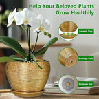 Indoor Plant Pot 6 Inch - Ceramic Pot for Plants Outdoor Planter with Drainage Hole and Saucer Round Decorative Planter Modern Flower Pot for Home Decor Gold