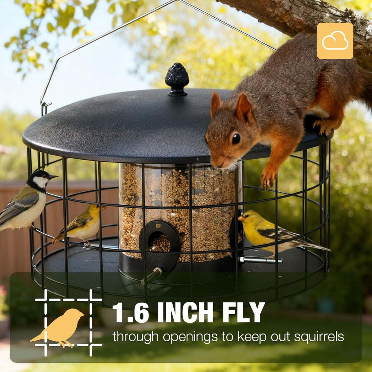 veehoo squirrel proof bird feeders for outdoors hanging shown in use