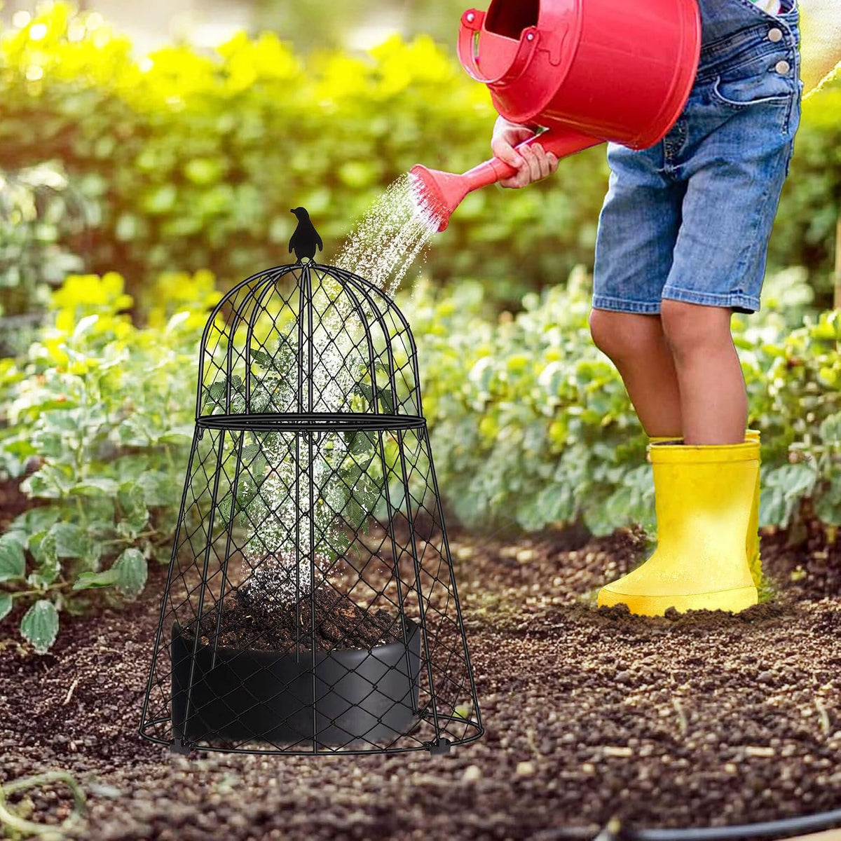 garden cloches for plants, 13" d x 20" on a desk or shelf