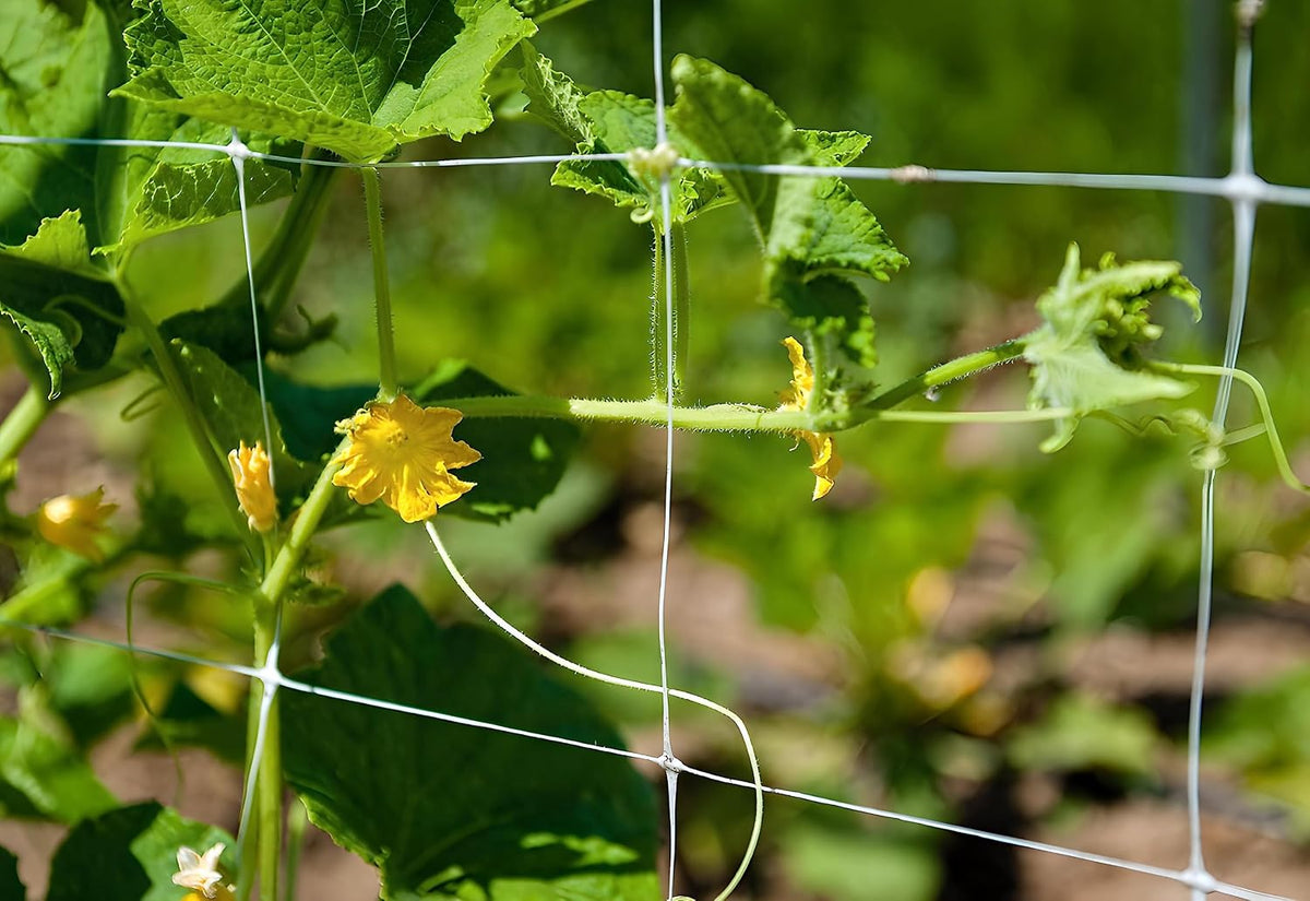 trellis netting, aaamazing netting, scrog net, trellis net showing dimensions