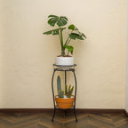 FaithLand 2 Pack Metal Plant Stands, Tall Planter Holder Indoor Outdoor, 2 Tier Round Potted Supports Rack, Corner Display Shelf Black