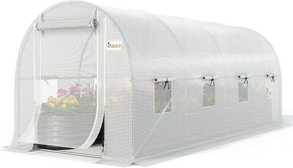 king bird premium 15x6.6x6.6ft greenhouse for outdoors large, main product view