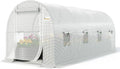 king bird premium 15x6.6x6.6ft greenhouse for outdoors large, main product view