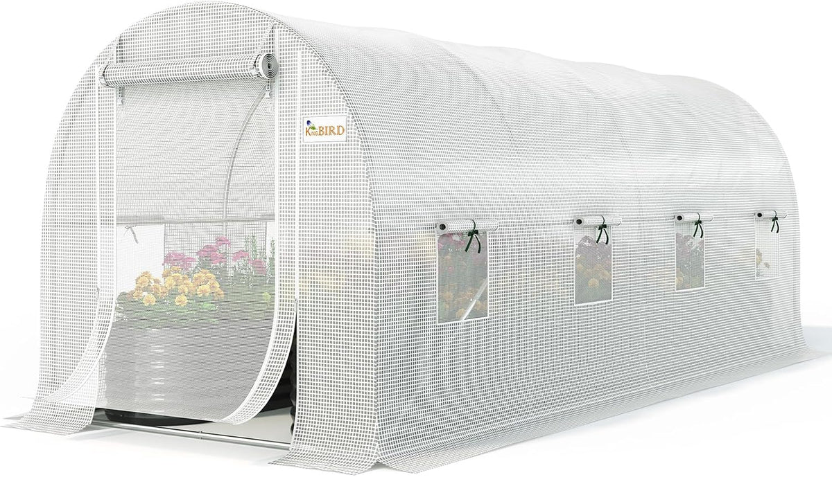 king bird premium 15x6.6x6.6ft greenhouse for outdoors large, main product view