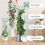 6 Pack Indoor Plant Trellis for Potted Plants, Stackable Garden Trellis for Climbing Plants Outdoor, Small Trellis for Houseplants Rose Hoya Pothos Plant Climber Support
