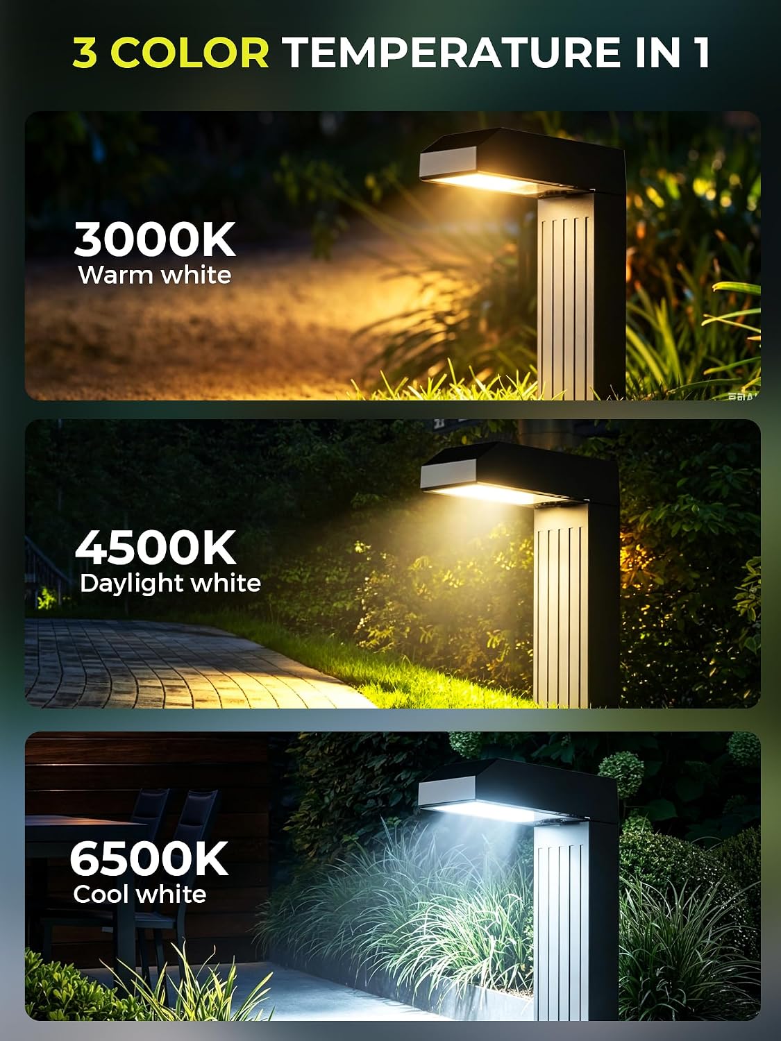 COXSENI Solar Pathway Lights Outdoor,3 Color Temperatures,20 LEDs,6 Pack | Clear Tempered Glass Solar Panel,IP65 Waterproof,Bright Led Landscape Lighting,Yard,Walkway,Driveway,Patio,Lawn,Auto On Off