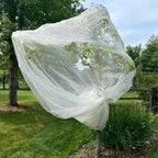 15ft x 15ft fruit tree netting cover with, main product view