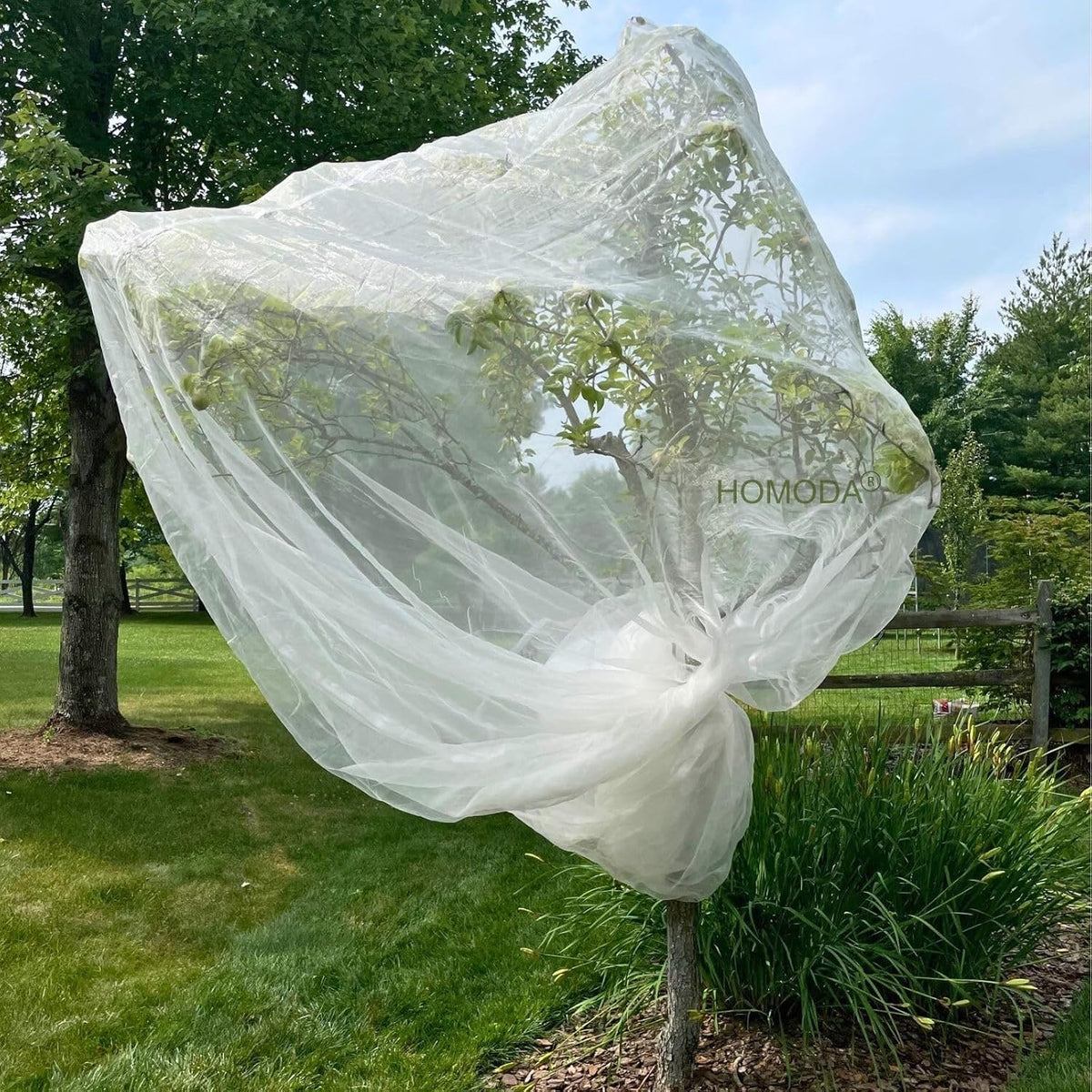 15ft x 15ft fruit tree netting cover with, main product view