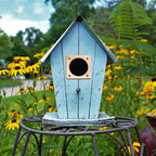 Hotop 6 Pcs Metal Bird House Guards 1 1/2 Inch Opening Bird House Entry Copper Portal Predator Hole Protector for Eastern Bluebird Houses