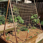 Jute Trellis Netting - Jute Netting for Garden, Heavy Duty Plant Support Netting for Climbing Plants, Cucumber, Vine, Fruits & Vegetables, Climbing Vining Plants (6.6 Ft x 9.8 Ft, 5.9 Inch Squares)