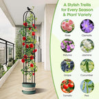 2026 Updated Garden Obelisk Trellis for Climbing Plants Outdoor, 76inch Tomato Cage, Rose, Flowers, Grape, Pea, Cucumber Trellis, Rustproof Plastic Coated Metal Plant Support Trellis for Potted Plants