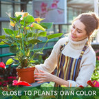 5 Pack Stackable Plant Supports Stakes, Sturdy Garden Trellis for Climbing & Vining Plants, Monstera, Pothos & Philodendron - Reusable Plant Stakes for Indoor & Outdoor Potted Plants