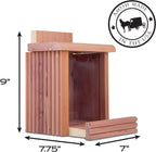 Pennington Cedar Squirrel Snacker Feeder, Squirrel Feeder, 2.75 LB | Hanging squirrel feeder, bird and squirrel feeder, eastern red cedar; mounts to tree, post or fence, keeps food dry