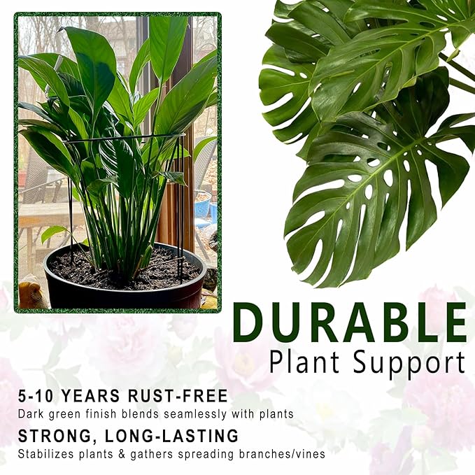 6 Pack Threaded Lock Metal Plant Support Stakes - 25" H Tall Peony Cage, Reusable Detachable Garden Ring for Hydrangea/Rose Bush/Potted Flowers, Indoor Outdoor Heavy Duty (10" W)