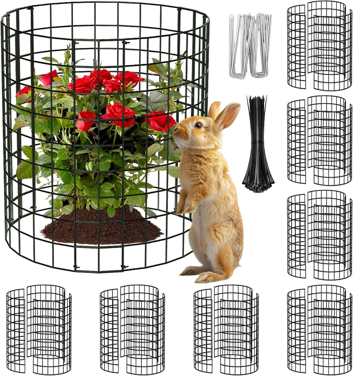 8 packs round plant protector from animals,metal wire, main product view