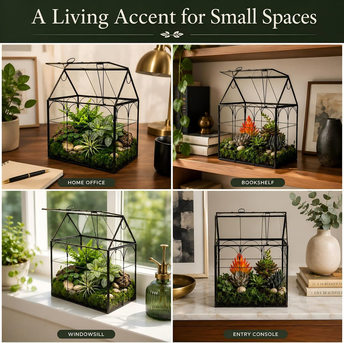large tall plant greenhouse terrarium glass with lid, side view