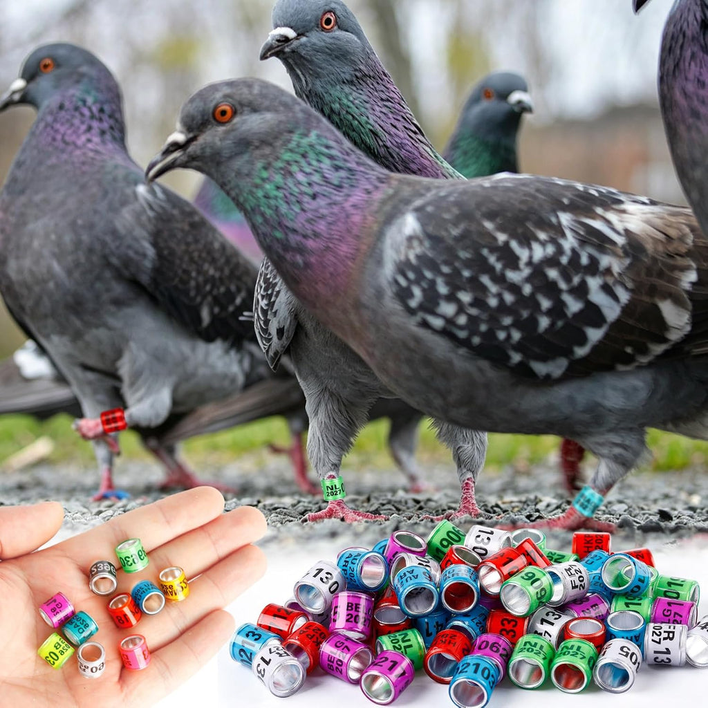 100Pcs Multicolor Aluminium Pigeon Leg Rings Dove Leg Rings Identify Pigeon BandsPlastic with 2027 Training Identify Birds Foot Ring (Multicolor)