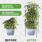 Tomato Cage Square - Large Trellis Stakes and Plant Support Structures for Vegetables and Climbing Plants - Tall Tomato Cages for Garden, Pots, Raised Garden Bed Outdoor Supplies (1 Pack - Up to 41")