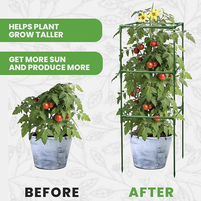 Tomato Cage Square - Large Trellis Stakes and Plant Support Structures for Vegetables and Climbing Plants - Tall Tomato Cages for Garden, Pots, Raised Garden Bed Outdoor Supplies (3 Pack - Up to 41")