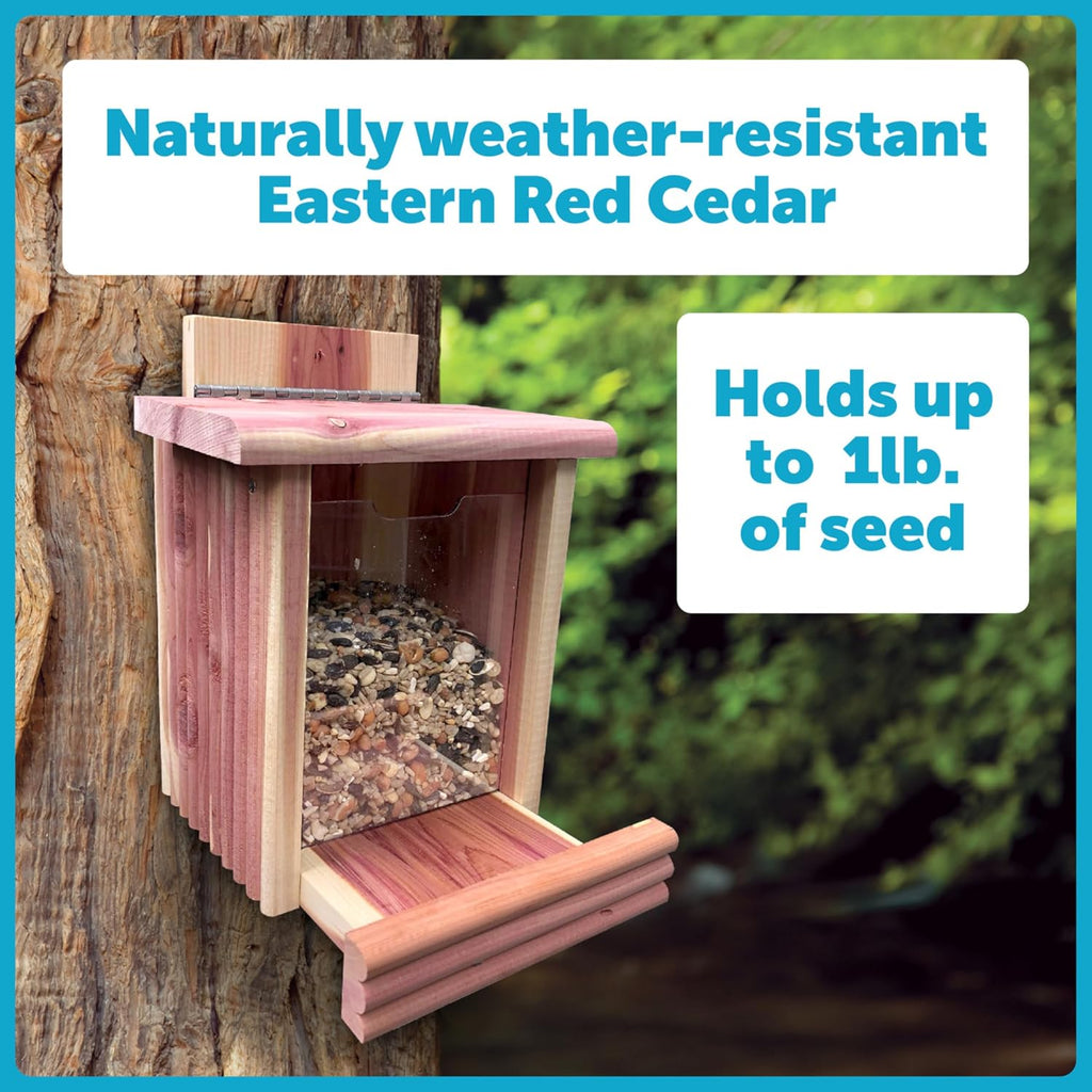 Pennington Cedar Squirrel Snacker Feeder, Squirrel Feeder, 2.75 LB | Hanging squirrel feeder, bird and squirrel feeder, eastern red cedar; mounts to tree, post or fence, keeps food dry