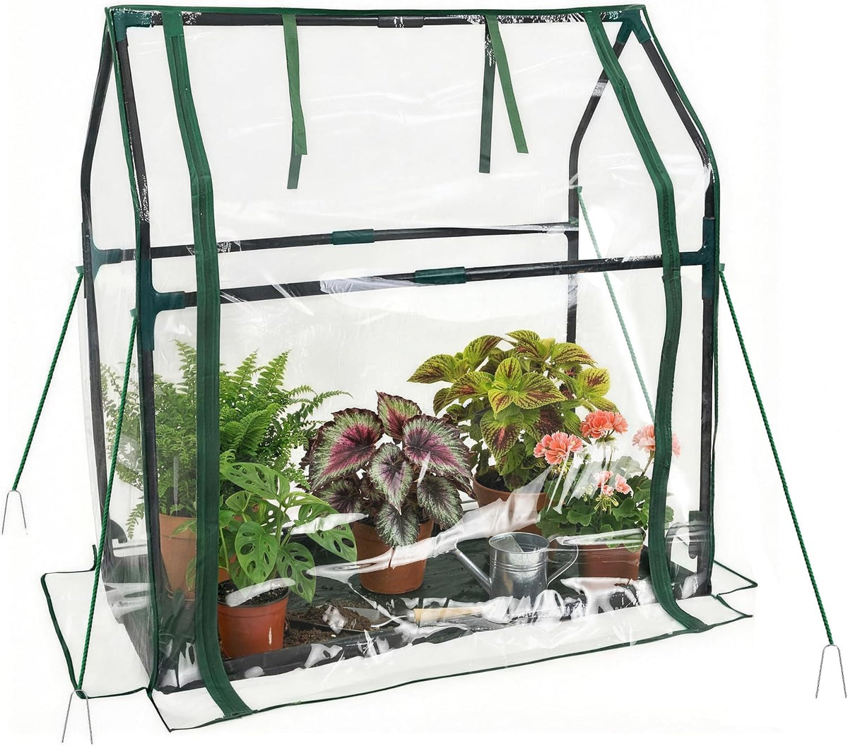 proworx mini greenhouse 36"×18"×33" small greenhouse seed starting, main product view