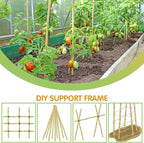 Plant Stakes,3FT Longer Sturdy Natural Bamboo Garden Stakes,GAGINANG 25Pcs Bamboo Sticks Trellis Support for Tomato, Vegetables Beans Trees Climbing Plants