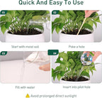 Large Extra-Thick Clear Glass Plant Watering Globes, Rainbow Gradient Self Watering Devices for Indoor & Outdoor Plants, Automatic Waterer Spikes, Perfect for Daily or Vacation Use, 4-Pack