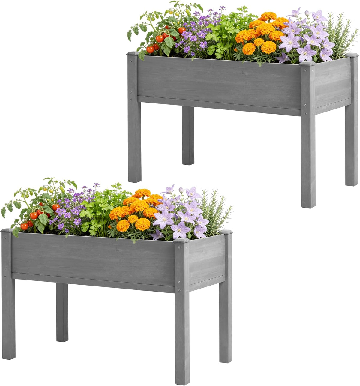 raised garden bed with legs, 48×24×30 cedar wood, main product view