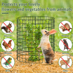 plant protectors from animals, 13.5"x 14" wire plant, package contents