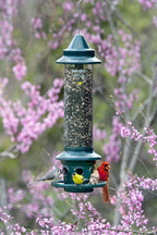 squirrel buster plus squirrel-proof bird feeder w/cardinal ring showing dimensions