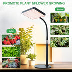 2026 Tabletop Grow Lights for Indoor Plants, Seed Starting, Bonsai, 4/8/12/16/20H Timer, 25 Watt Power Draw, Bright Enough Like A Small Sun, Daisy Chain Function, 16"-24" Height Adjustable