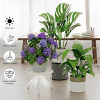 5 Pack Metal Plant Stand Indoor Outdoor Low Corner Plant Stand Heavy Duty Rustproof Iron Round Supports Rack for Planter Flower Pot Rack Display Shelf