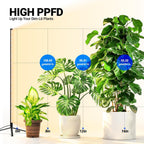 Barrina T10 Vertical Grow Light, 4FT 42W, Full Spectrum, High PPFD | Grow Lights for Indoor Plants, Standing Side Lighting to Plant Stand Flower and Tall Plants, Foot Switch with Tripod Base