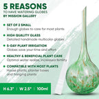 Plant Watering Globes Set of 2 - Small Self Watering Globes for Indoor & Outdoor Plants - Multicolored, Automatic, Glass Watering Bulbs for Daily Use, Plant Watering Devices