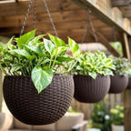 lalagreen hanging planters (11in, 3 pack) self-watering hanging, main product view