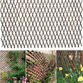glant lattice fence expandable plant climbing trellis, open, main product view