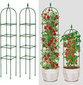 Garden Trellis for Climbing Plants Outdoor & Indoor - 2 Pack 6Ft Tall Rustproof Plant Support Cage for Vines, Flowers, Vegetables, Roses | Heavy-Duty, Adjustable & Decorative