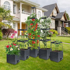 MQUPIN Tomato Planter Box with Trellis for Garden, 57 Inch Self-Watering Raised Garden Bed, Patio Tomato Cage for Climbing Vegetables & Flowers, Upgraded Tomato Pot for Indoor Outdoor Use(1 Pack)